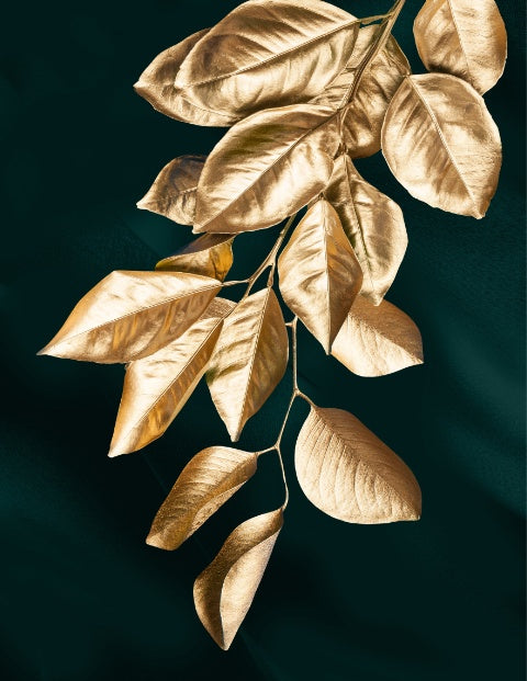 New Home Living Room Hanging Pictures