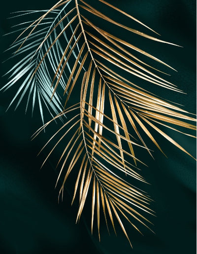 New Home Living Room Hanging Pictures